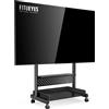 Selius Supporto TV - Mobile TV su ruote - Carrello TV - Mobile TV - Base TV nera - Altezza regolabile