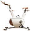 Selius Cyclette da casa - Bicicletta da allenamento - Bicicletta fitness - Bicicletta per l'allenamento - Attrezzatura per ciclismo indoor - Volano a doppio disco da 10 kg