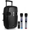 Selius Altoparlante wireless - Altoparlante Bluetooth - Altoparlante portatile - Sistema audio PA - Altoparlante per karaoke
