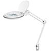 goobay 60361 Lampada con Lente d'Ingrandimento a LED, in plastica, 8 W, Potenza assorbita, Temperatura Colore 6500 K, Flusso Luminoso 650 lm, Tensione di Funzionamento 230 V (AC), Bianco, Weiß