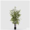 Enzo De Gasperi EDG Enzo De Gasperi Pianta Bamboo con vaso H 150 cm Verde Scuro