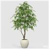 Enzo De Gasperi EDG Enzo De Gasperi Pianta Artificiale Ficus Beniamino Vogue con Vaso H244 cm