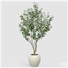 Enzo De Gasperi EDG Enzo De Gasperi Pianta Artificiale Eucalipto Vouge con Vaso H244 cm