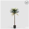 Enzo De Gasperi EDG Enzo De Gasperi Pianta Artificiale Yucca Anti-UV con Vaso H131 cm