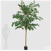 Enzo De Gasperi EDG Enzo De Gasperi Pianta Artificiale Ficus Beniamino H305 cm