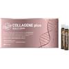 MARCO VITI FARMACEUTICI SpA Marco Viti Collagene Beauty Drink Plus 250 ml