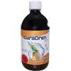 CURA FARMA Srl Cura Farma Curadren Fast Ananas 500 ml