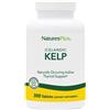 La strega srl ALGHE KELP 300TAV N.PLUS