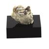 A Bijoux Pietre E Minerali. Pirolusite. 18.35 Ct. Glen Almond, Québec, Canada.