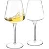 ZoneYan Calici Plastica Rigida Lavabili, 2 Pezzi Calici Vino Plastica 420ml, Bicchieri Plastica Rigida Lavabili, in Tritan, BPA-Free, Bicchieri Vino Rosso, Vino Bianco (C)