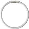 KOSNIC 40W T5 CIRCOLARE FLUORESCENTE TUBO 2GX13 BASE FREDDA BIANCO
