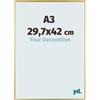yd. Your Decoration - Cornice A3 29.7x42 cm - Oro - Cornice Decorativa Parete in Plastica con Vetro in acryl - Antiriflesso - A3 29.7x42 Cornice - Evry