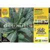 Orto Mio Piantine di Ortaggi in pack cubettato per la produzione famigliare disponibili in molte tipologie e varietà (Cavolo Nero di Toscana 6 piante)