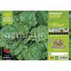 Orto Mio Piantine di Ortaggi in pack cubettato per la produzione famigliare disponibili in molte tipologie e varietà (Spinacio semi bolloso Hunter F1 12 piante)