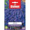 Blumen BUSTINA CON SEMI DI AUBRETIA CASCATA AZZURRA
