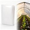 Wotrilw Trasparente per Serra, Film per Serra in Polietilene Trasparente, 2 x 10M Telo da Giardino Extra Spesso Antistrappo, Copertura PE Impermeabile per Protezione Piante e Giardinaggio