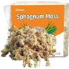 Yilotuce 500g Naturale Sfagno, Ottimo per Orchidee, Felci a Corno di Cervo, Piante Carnivore, Piantine, Radicazione di Talee, Buon Terriccio per Orchidee