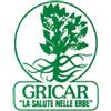 GRICAR CHEMICAL Srl soc. unico Drenaplus Forte Integrat 500ml