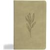 Holman Bible Publish KJV Thinline Bible, Sage SuedeSoft LeatherTo (Finta pelle)