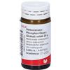 Wala Meteoreisen Phosphor Quarz Medicinale omeopatico in globuli per le difese immunitarie, 20 g