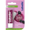 Labello Blackberry Shine Burrocacao labbra 5.50 ml, Balsamo labbra colorato e nutriente all'aroma di more, Lip balm idratante per 24 ore con ingredienti naturali
