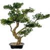 DRW Pianta artificiale di un bonsai di cipresso in PE e PVC con vaso in verde e marrone, 90 x 50 x 81 cm