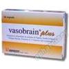 ERREKAPPA EUROTERAPICI Vasobrain plus 24 capsule - ERREKAPPA EUROTERAPICI - 902553282