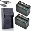 DSTE NP-F970 Li-ion Batteria (2-Pacco) e Caricabatterie USB Compatibile per Sony CCD-TR716 CCD-TR818 CCD-TR910 CCD-TR917 CCD-TR930