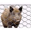 Generico MARRA EDILE 25 ML RETE CINGHIALE H100 RECINTO RECINZIONE ANIMALI CASA