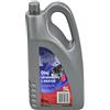 LED LEDS OLIO MINERALE PER ARIA COMPRESSORE COMPRESSA A VITE 5 LT LUBRIFICANTE ABAC FINI