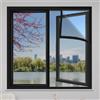 Eejovative Zanzariera Fissa Schermo 60x120cm Nero Zanzariera Finestra Con Telaio Zanzariera per finestre Zanzariera Zanzariere per Finestre A Rullo