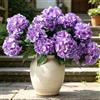 Laelfe 3 Mazzi di Grandi Ortensie Artificiali | Bouquet di Ortensie Finte in Seta, Fiori Artificiali per Decorazioni per la Casa, Giardino, Balcone, Cortile