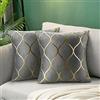 Hanrunsi Set Cuscino Grigio di 2 Federe Grigie E Dorate 40x40cm Velluto Decorativo 16 x 16'' Morbida Federa con Cuscini Decorativi Quadrati per divano, Camera Da Letto, Soggiorno