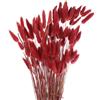 QUARKZMAN 50 Pz Erba Finta di Pampas 17/43cm Decorazione di Erba Rosso | di Pampa Finta, per Soggiorno Festa Vaso da Parete, Decorazione per Matrimoni