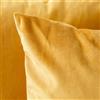 fashion home Pagano Federe Cuscini Decorative in Tessuto velluto Morbido, Set Copricuscini per Divano e Letto, misure 60x60, colore oro, 2 pezzi