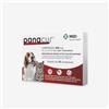 LATINA VETE - PANACUR*10CPR 250MG