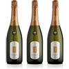 Adami Dei Casel - Valdobbiadene Prosecco Superiore Docg Extra Dry - Elegante e Raffinato - 11% vol. 0,75l - 3 bottiglie