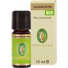 FLORA Lavanda olio essenziale bio 10 ml - FLORA - 910627266