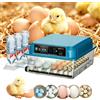 HGTUGO Mini Incubatrice per Uova con Aggiunta Automatica dell'Acqua, Rotazione delle Uova, Controllo della Temperatura, Macchina per la Schiusa di Uova di Galline e Anatre