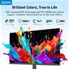 NONE Monitor da Gaming KOORUI, 24 Pollici FHD IPS, 1920x1080 60Hz Display LCD LED a Bassa Emissione di Luce Blu, Montaggio VESA, Schermo per Computer Full HD 16:9 per Ufficio, Casa e Gaming