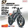 DEEPOWER Bicicletta Elettrica QS7 con Motore da 250W, Batteria al Litio 48V 60AH, Pneumatici Fat 20*4.0, E-bike da Neve, Doppio Ammortizzatore, Disponibile in Magazzino UE