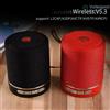 NONE Mini Subwoofer Wireless, Altoparlante Bluetooth Portatile, Cassa Acustica con Bassi, Radio FM, Woofer Piccolo Impermeabile