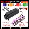 DAGENLY Batteria per scooter elettrico Hailong, 36V 48V, 20Ah-40Ah, per moto/biciclette da 250W a 1500W, batteria al litio impermeabile + caricabatterie.