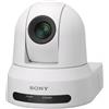 Sony SRG-X40UH Cupola Telecamera di sicurezza IP Interno 3840 x 2160 Pixel Soffitto/muro