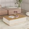 LBSIGN Tavolino Basso Da Salotto 90x60x28 Con Vani Interni Beige E Rovere Frame