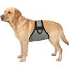Colenumone Pannolini per cani maschi, lavabile, fascia per pancia per cani maschi, con gancio sottile e confortevole, fasce per pipì per cani in incontinenza o minzione eccitabile e addestramento