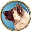 Akita Cane Distintivo di Lapel Pin