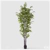 Enzo De Gasperi EDG Enzo De Gasperi Pianta Artificiale Bamboo con Vaso H240 Cm