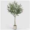 Enzo De Gasperi EDG Enzo De Gasperi Pianta Artificiale Olivo Vogue con Vaso H240 Cm