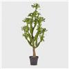 Enzo De Gasperi EDG Enzo De Gasperi Pianta Artificiale Cactus West con Vaso H148 Cm